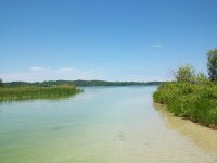 summer 08 008.jpg