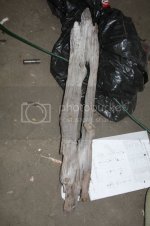 2008_06_10_005189.jpg