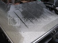 IMG_1724.jpg