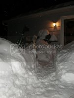 snowLarge.jpg
