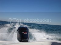 DSC00141.jpg DSC00141.jpg