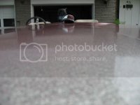 IMG_2495.jpg IMG_2495.jpg