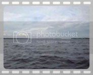 th_MOV00586.jpg