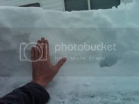 IMG00251-20100209-1713.jpg