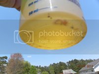 DSCN0415.jpg