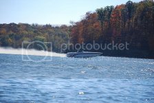 DSC_0560.jpg