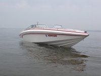 Check8.jpg