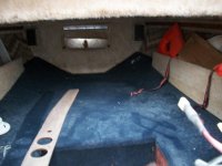 checkmate enforcer 378.jpg