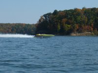 P1010035-L.jpg