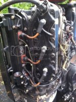 IMG_0684.jpg IMG_0684.jpg