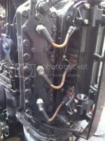 IMG_0685.jpg IMG_0685.jpg