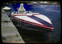 polarwave1.jpg