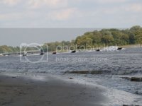 231_zpsad8e53a7.jpg 231_zpsad8e53a7.jpg