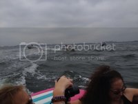 BFEE30C5-E300-4B4D-8A89-1A0E7D806B8C_zpsk8vybccf.jpg