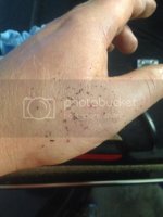 imagejpg2_zps8f0d3eef.jpg imagejpg2_zps8f0d3eef.jpg