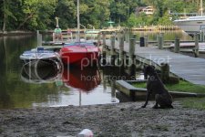 DobbinsDay1%20040_zps9dnnpci3.jpg DobbinsDay1%20040_zps9dnnpci3.jpg