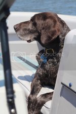 DobbinsDay4%20041_zpsqhuugv3x.jpg DobbinsDay4%20041_zpsqhuugv3x.jpg