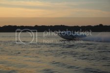 DobbinsDay1%20120_zpsdvg4xfnr.jpg DobbinsDay1%20120_zpsdvg4xfnr.jpg