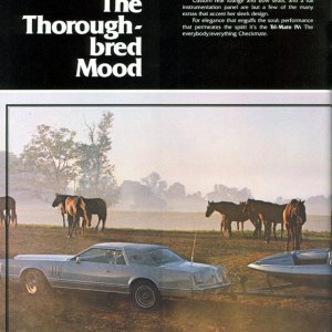 1978 Brochure Page 18