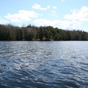 Distant shot of the cottage point.