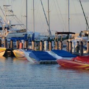 boat8566