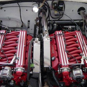 12745732_1112641242099473_6201996889667376165_n