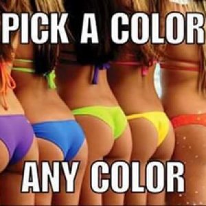 13346850_892660977527534_298208037549290448_n