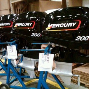 10850161_780654102001546_1802920765469889586_n