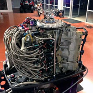 12509000_889838547797643_3403860021507541128_n