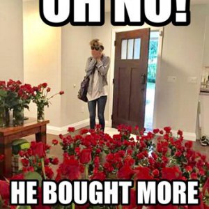 16729340_1741721515853786_5114541662369329561_n