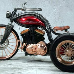 17203191_1299533403466230_3250174004934802260_n