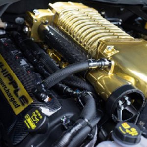 10806216_752049934875521_775621451522895800_n