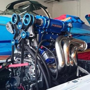 10801894_729219577163927_4602840836673826873_n