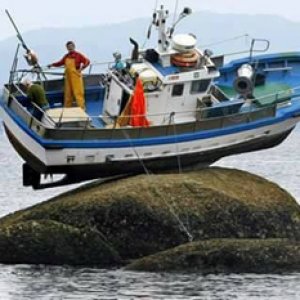 17264278_775793302575253_3526846216784704146_n