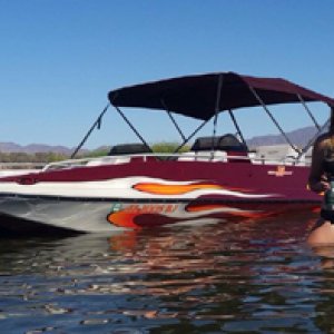 12003017_891995444222586_2748293388241347933_n