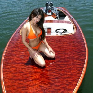 12809592_973217256100404_6014808307710693328_n