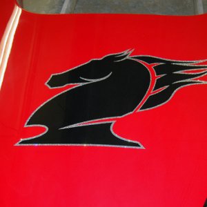 New Factory Horsehead  DeckGraphic