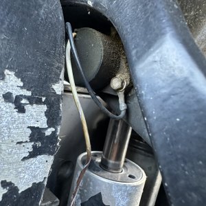 IMG_5271.jpeg