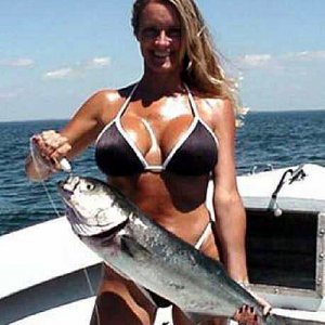 boat1415