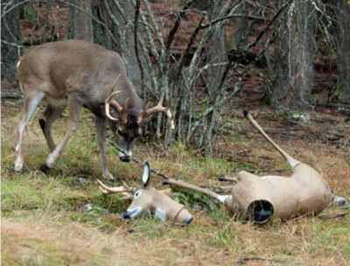 10868216_874883705895995_8676502558323823747_n