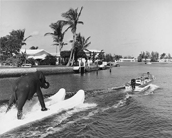 18199485_1670159653014021_4613133408282304095_n