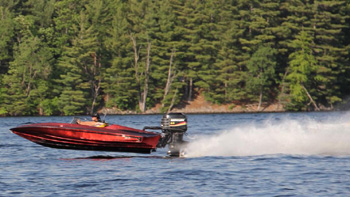 19059678_790539517794574_4128369241445234390_n