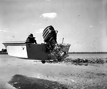 314048_10151007913049337_1589870749_n