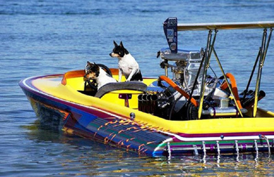 boat10394