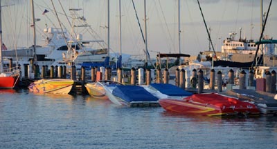 boat8566