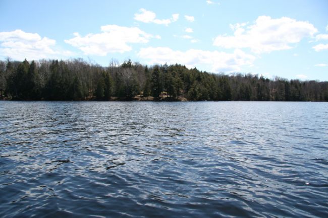 Distant shot of the cottage point.