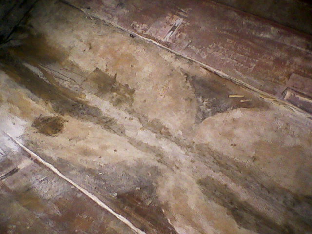 floor rot 9.jpg