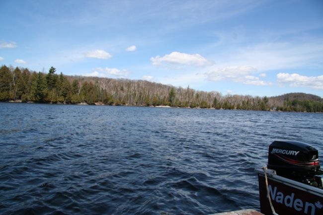 Looking North East from the dock.